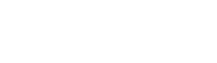Alberta Foundation for the Arts